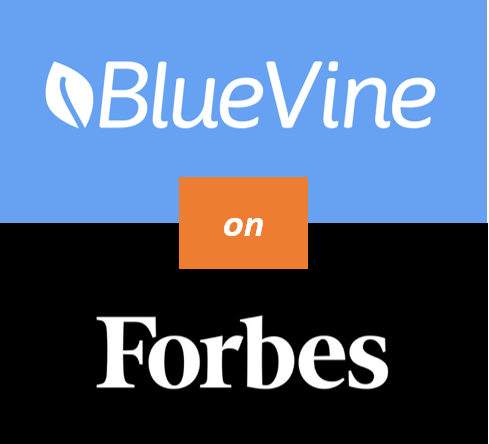 Blue Vine Factoring: Everything You Need to Know