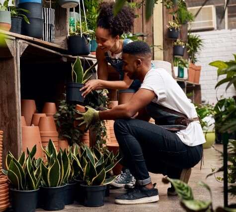 Young black couple running a plant shop and putting plants on the shelves